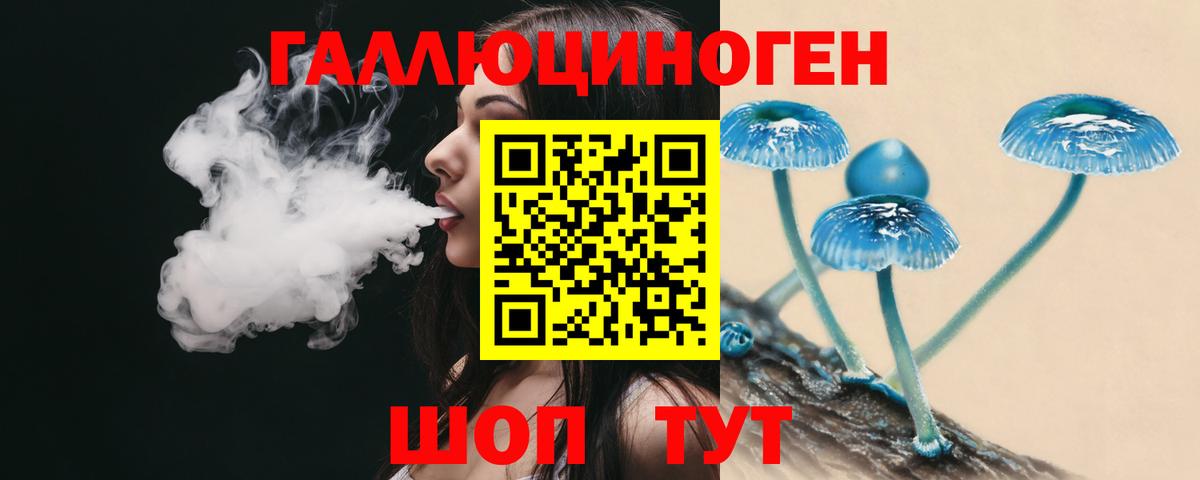 как найти   Вход с VPN  Александров  Псилоцибиновые грибы прущие грибы 
